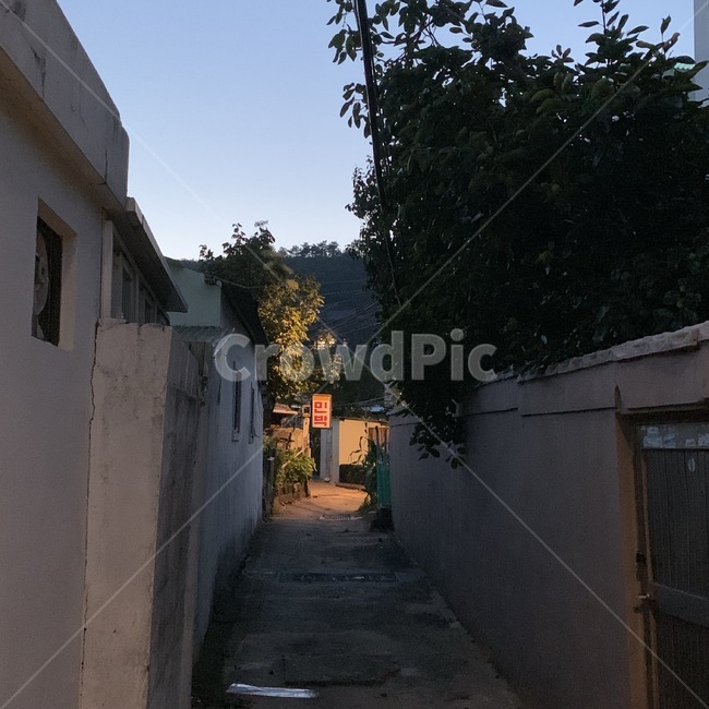 통로,보도,walkway,골목,시골,골목길,alley