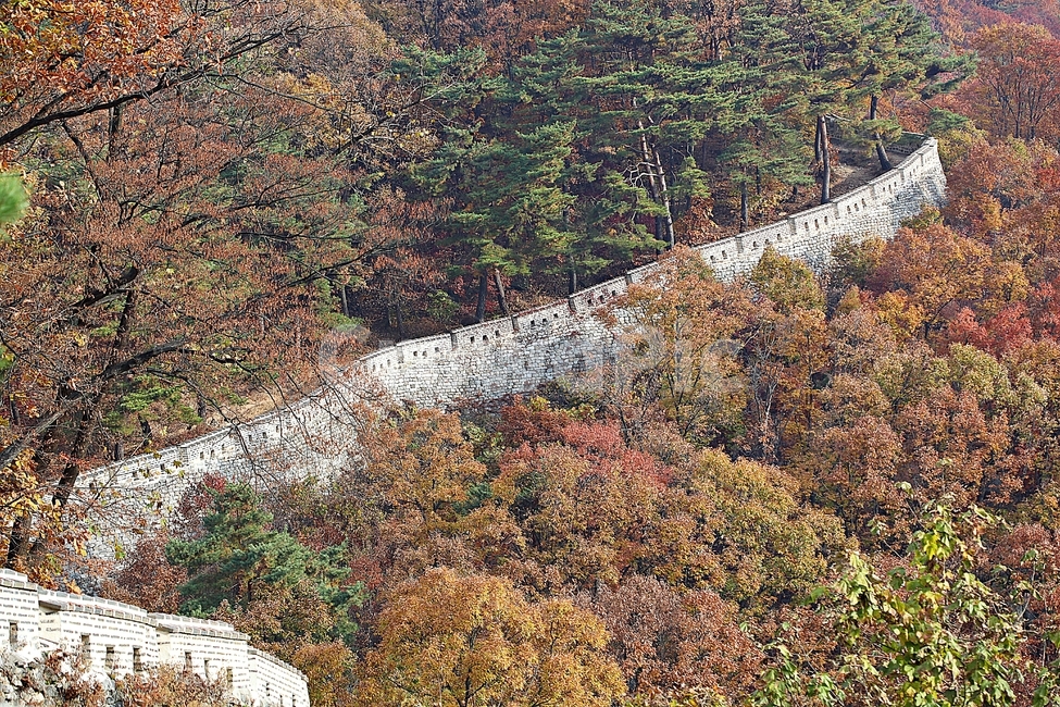 남한산성,성,성곽,단풍,낙엽,길,둘레길,숲,숲길,담,돌담,가을,자연,풍경,벽,울긋불긋,산성,식물,가을,계절,fall,autumn,season,한국전통,한국문화,korean traditional,korean culture,ground,바닥,nature,outdoors,옥외,tree,나무,plant