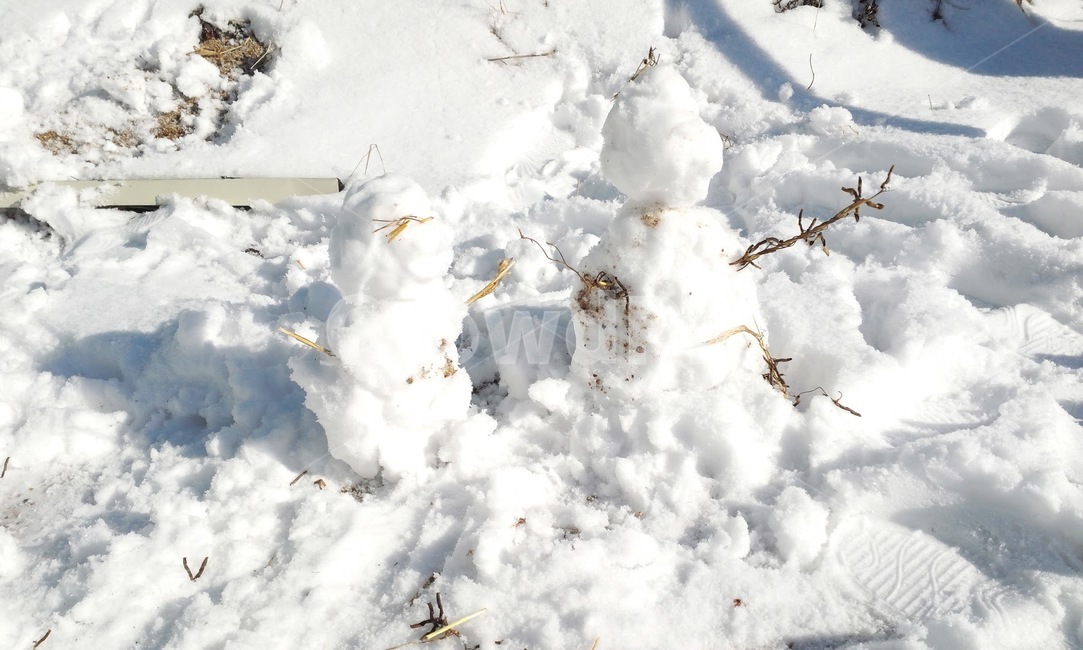 nature,자연,snow,눈,겨울,눈사람,겨울,계절,winter,season