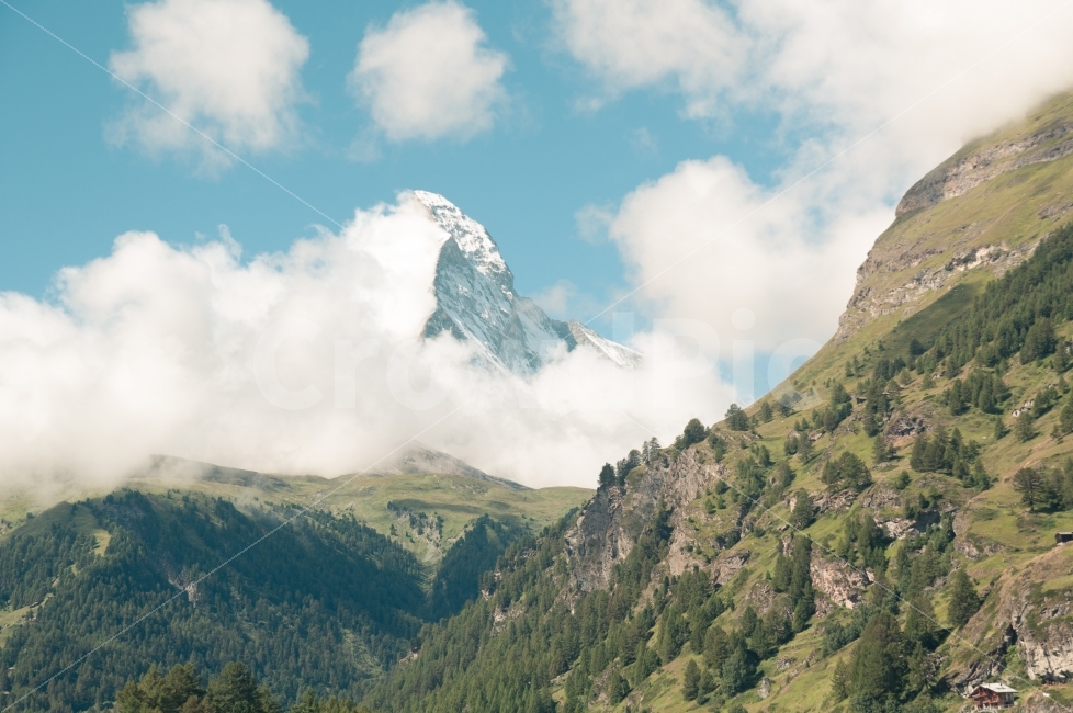 마테호른,체르마트,스위스,여행,유럽여행,Matterhorn,Zermatt,Switzerland,travel,해외,외국,세계,foreign,oversea,world,세계자연풍경,해외자연풍경,외국자연풍경,world nature landscape,감성,sensible,feeling,tree,나무,plant,식물,outdoors,옥외,mountain,산,nature,자연,abies,아비,fir,전나무,mountain range,산맥,slope,경사
