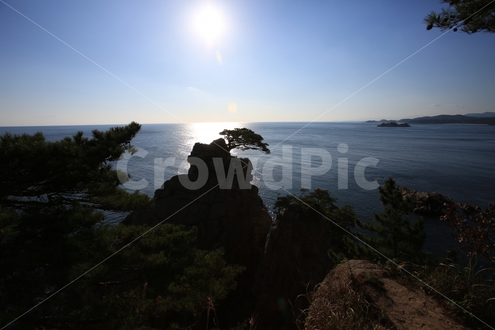 소나무,바다,태양,그림자,실루엣,자연,풍경,nature,landscape,outdoors,옥외,land,땅,promontory,곶,sea,ocean,대양,water,물,shoreline,해안선