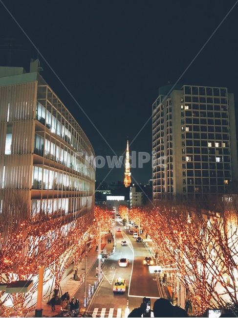 urban,어반,city,시티,building,건물,downtown,도심,town,도시,야경,일본,일루미네이션,12월