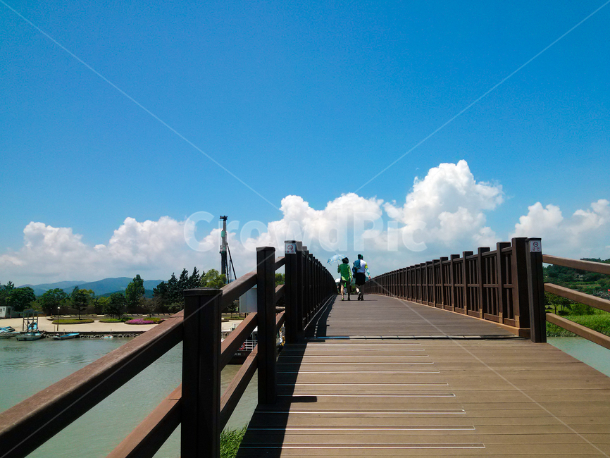 boardwalk,산책로,bridge,다리,물,습지,순천만,순천만습지,순천,순천만생태공원
