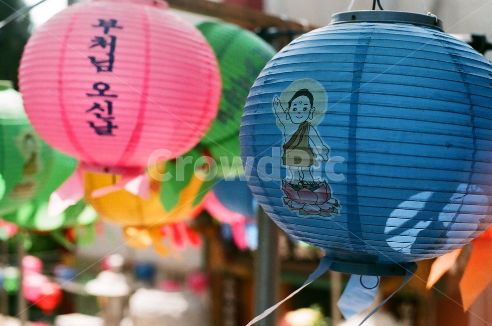 연등,부처님,불교,절,부처님오신날