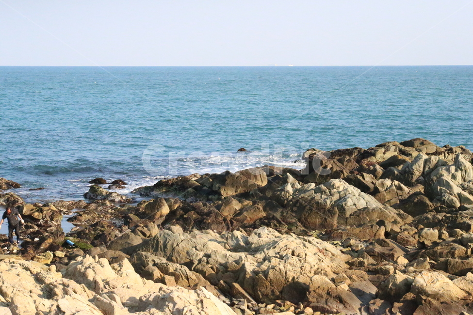 부산,기장,바닷가,겨울바다,바위