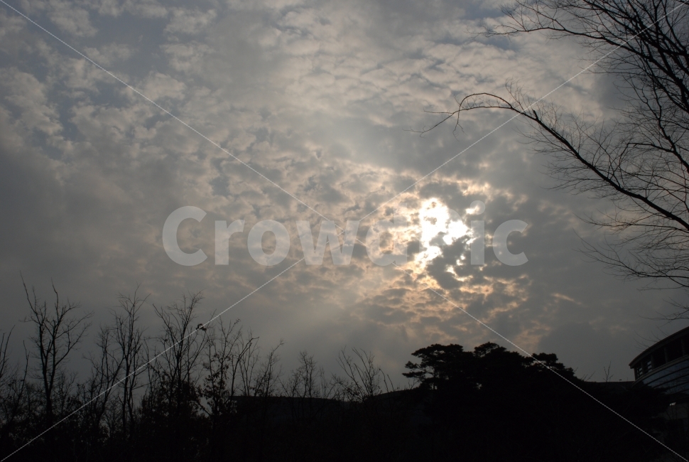 저녁놀,가을,밤,하늘,구름,빛,자연,검은,석양,나무,자연,풍경,nature,landscape,flare,플레어,light,sunlight,햇빛,weather,날씨