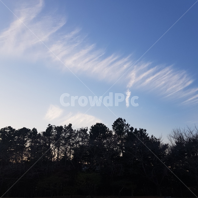 하늘,구름,자연,나무,파랑,자연,풍경,nature,landscape,outdoors,옥외,weather,날씨