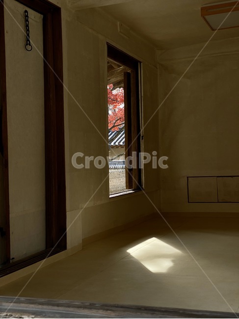 flooring,floor,바닥,한옥,빛,햇빛,궁궐,창덕궁,창덕궁후원,건축물,건물외관,exterior,building,structure,architecture,construction