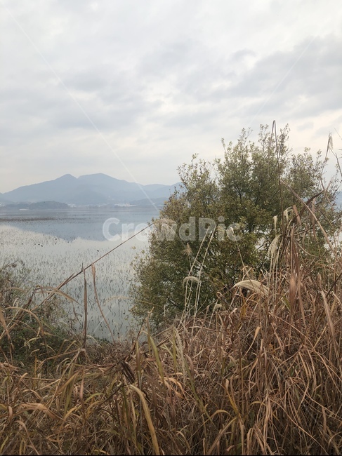 자연,outdoors,nature,grass,land,저수지