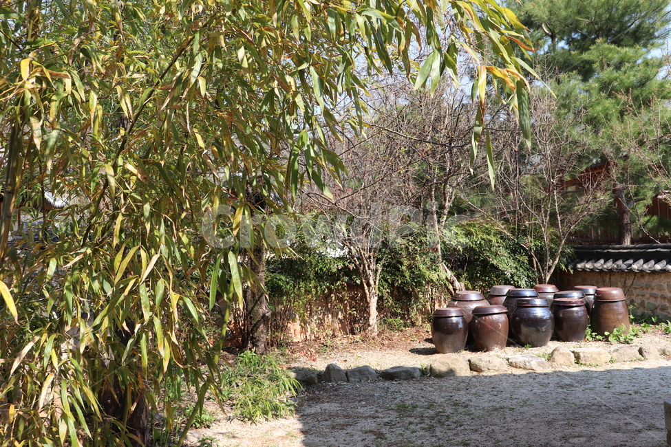 전주,전주한옥마을,봄,전통한옥,대한민국