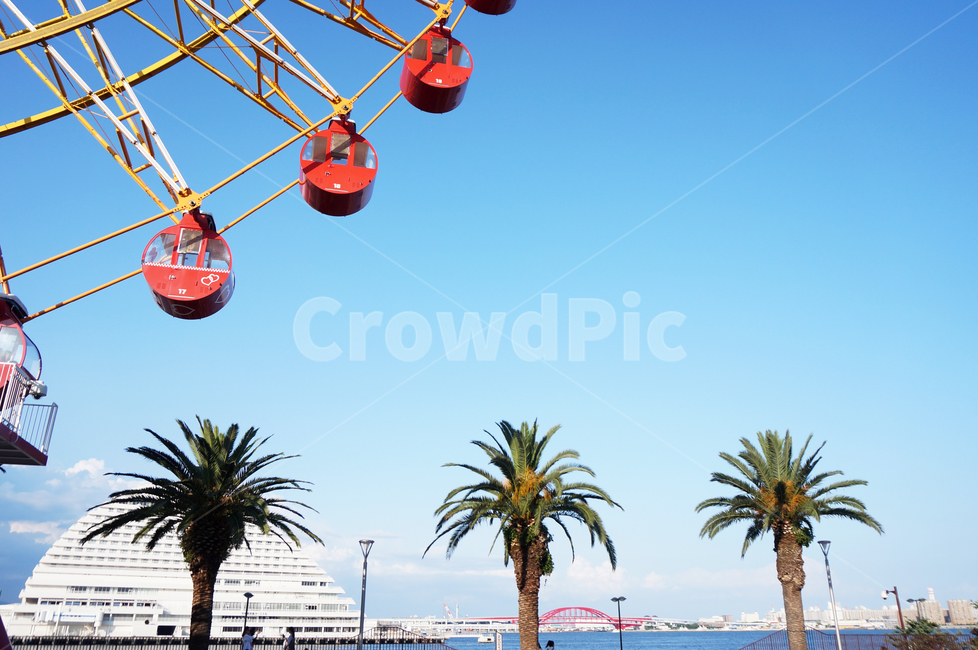 palm tree,ferris wheel,Ferris wheel date,Emotion,Emotional photo