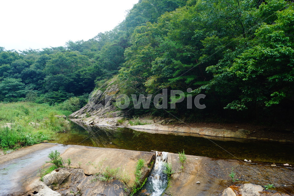water,물,nature,자연,stream,작은만,creek,흐름,자연,풍경,nature,landscape,outdoors,옥외,작은 만