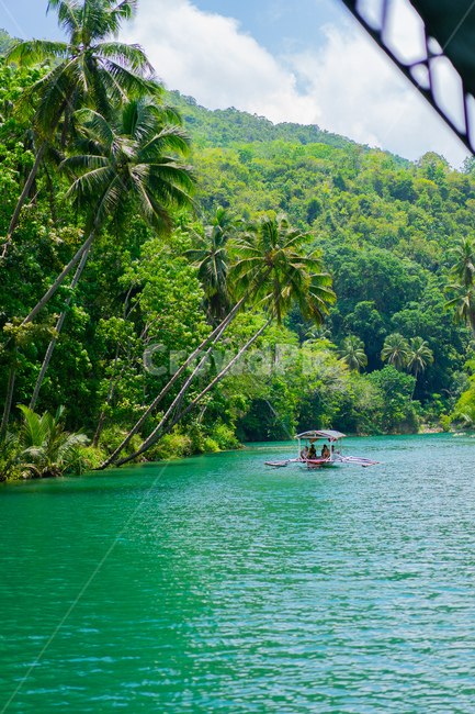 필리핀,여름,휴가,관광지,감성사진,trip,휴가지,휴양지,philippines,바다,경치,보홀,배,통통배,자연,숲,강,야자수,풍경