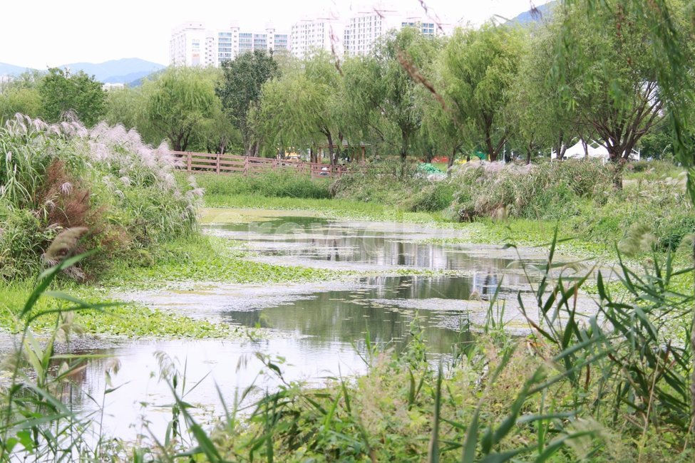 풍경,길,공원,계절,힐링,자연,풍경,nature,landscape,outdoors,옥외,land,땅,water,물