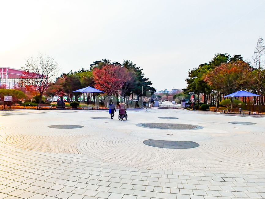 동행,여정,여행,효도,휠체어,파라솔,대형파라솔,파란파라솔,공원입구,외출,자매,갈색나무,나무,숲,식물,퇴장,가을,사람,인간,효심,광장,모자이크,보도블럭,타일,푸른나무,산책,단풍,단풍나무,빨간단풍,공원,나들이,감성