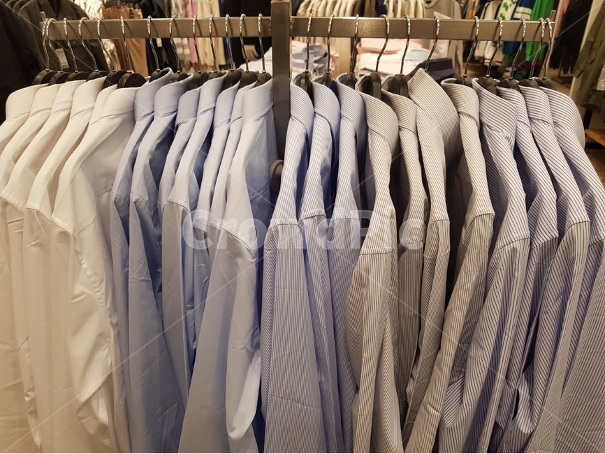 옷걸이,선반,패션,옷,의류,화이트,배경,스타일,디자인,소매,셔츠,벡터,옷장,캐주얼,옷감,컬러,패션스타일,의상,fashion,style,쇼핑,shopping