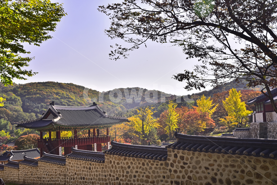 forest,building,preservation,fall,unesco,Korean natural scenery,season,tiled house,architecture,restore,nature,autumn background,Haenggung Palace,world cultural heritage,history,Namhansanseong Fortress,outdoor,environment,outdoors,background,autumn,Korean