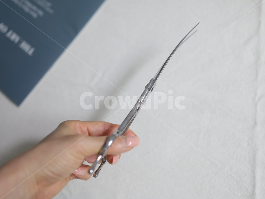 가위,scissors,scissor,애견가위,커브가위,cut,사무용품,스테인레스,스테인리스,강철,stainlesssteel