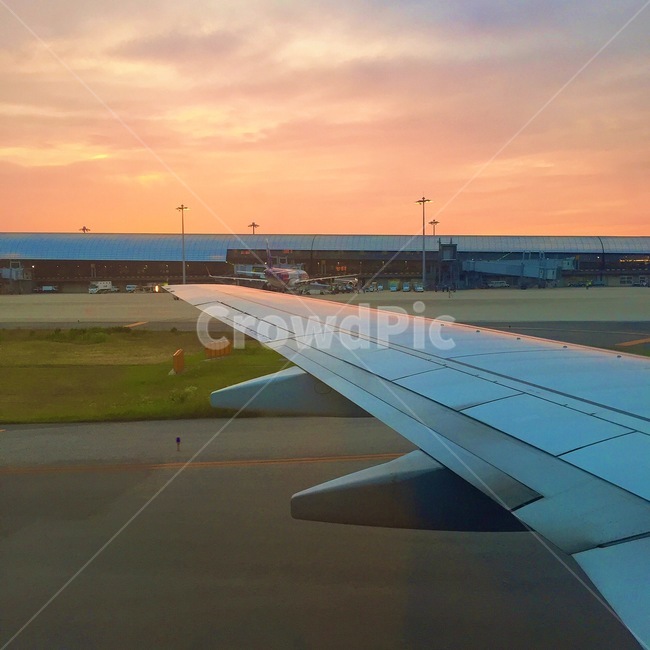 비행기,공항,창가자리,풍경,노을,비행기날개