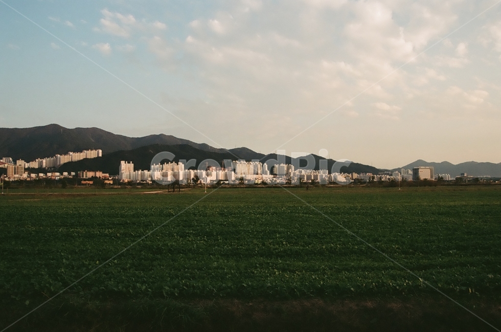 풍경,들판,구름,아파트,하늘,초록,산,자연,풍경,nature,landscape,grass,잔디,plant,식물,lawn