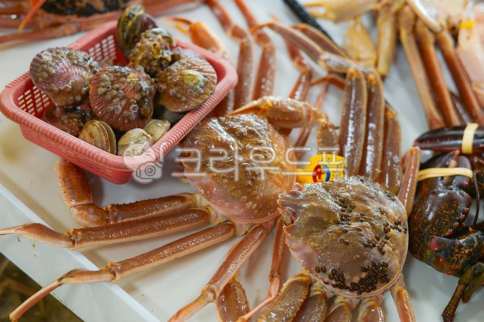 seafood,seaweed,lobster,fish market,scallop,snow crab,clam,Bakdal snow crab,crab