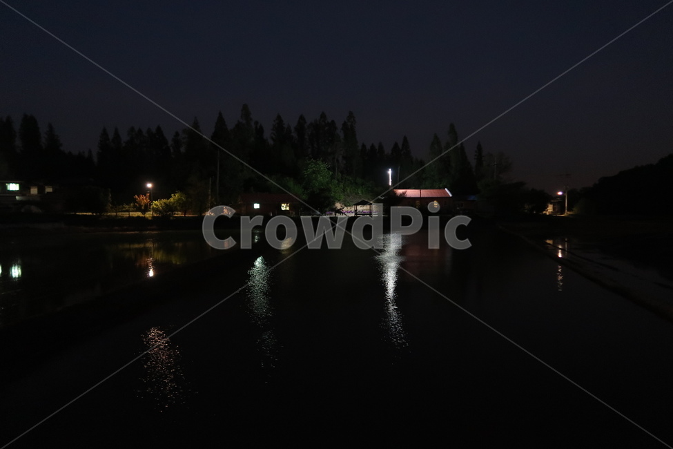 야경,밤,숲,불빛,나무,야경,밤,풍경,nightscape,night,landscape,nature,자연,outdoors,옥외,water,물