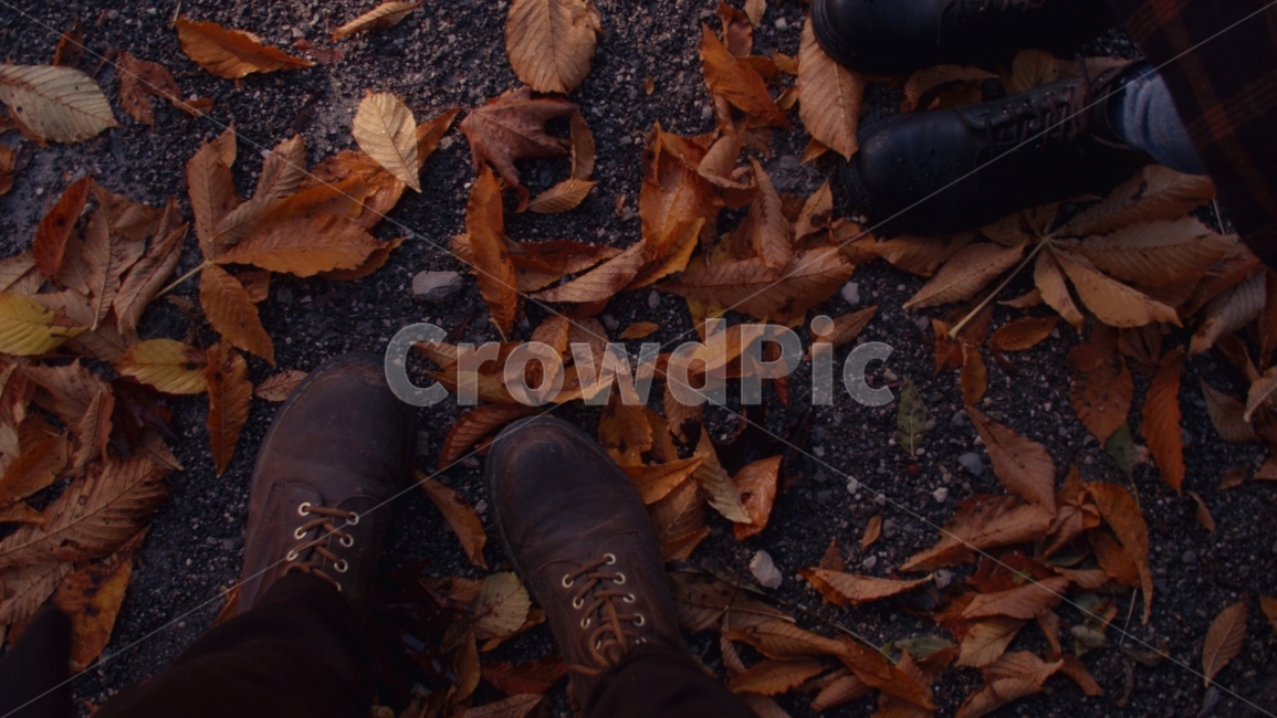 가을,겨울,계절,외로움,쓸쓸함,낙엽,autumn,추움,부츠,신발,야외,가을,계절,fall,autumn,season,사람,인물,인간,human,person,신체일부,몸,body,plant,식물,leaf,잎