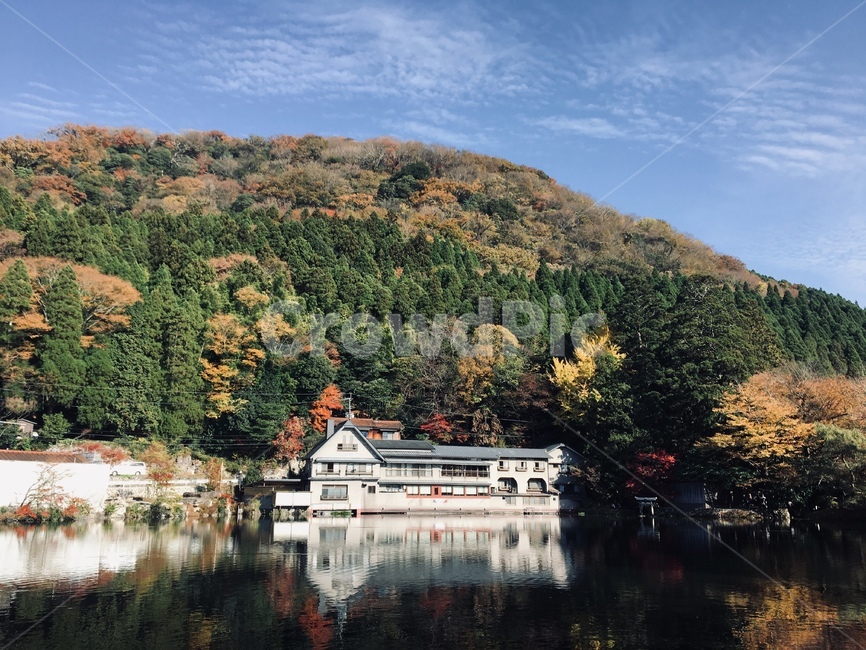 호수,관광지,여행지,가을,산,단풍