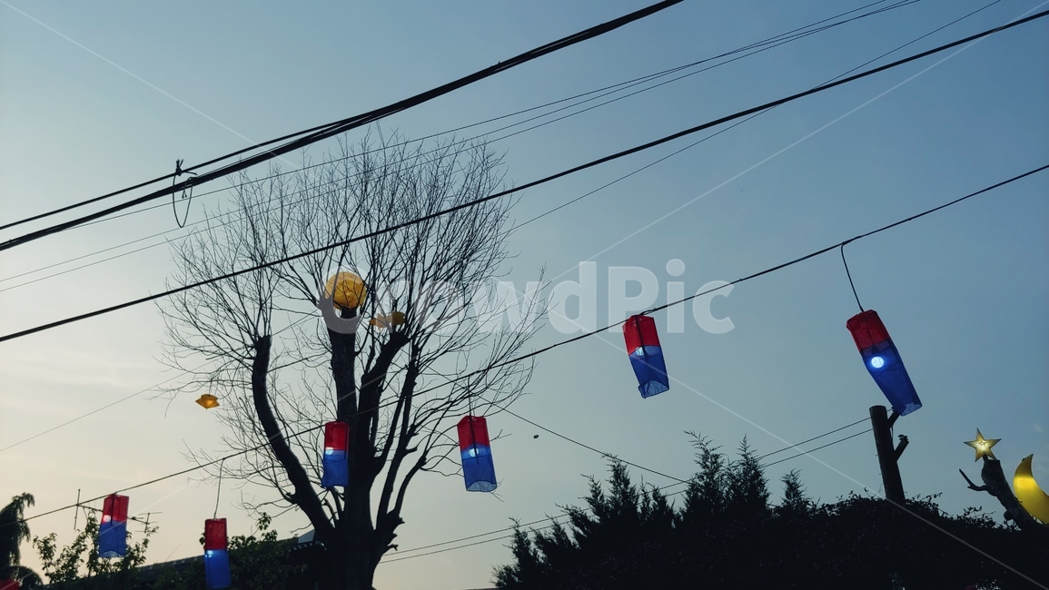 노을,하늘,풍경,전통,달