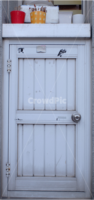 door,문,식물,plant,white,흰색,하얀색,하얀,하얀문,whitedoor