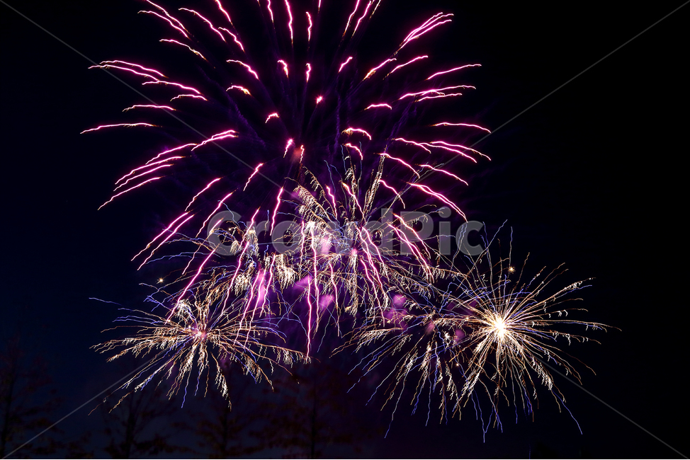 불꽃놀이,불꽃,2019년새해,새해,새날,야경,밤,풍경,nightscape,night,landscape,축제,행사,festival,carnival,event,nature,자연,outdoors,옥외