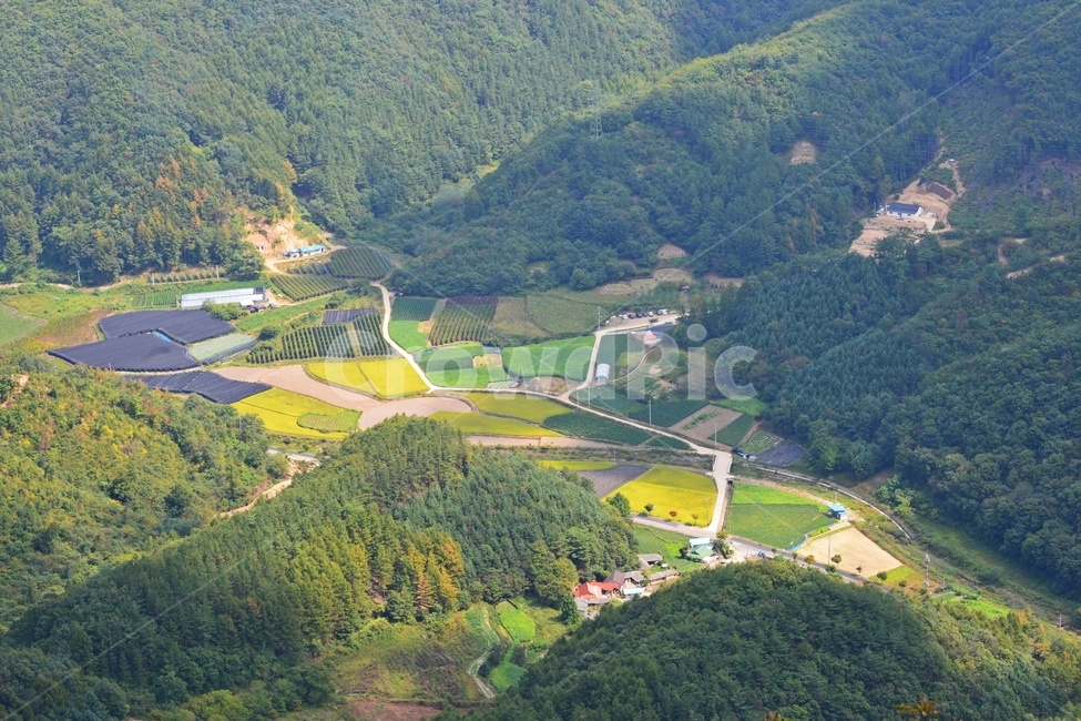 진안,구봉산,산행,농촌,산골들녁,산골,자연,경치,풍경,농업,농사,agriculture,farming,farming industry