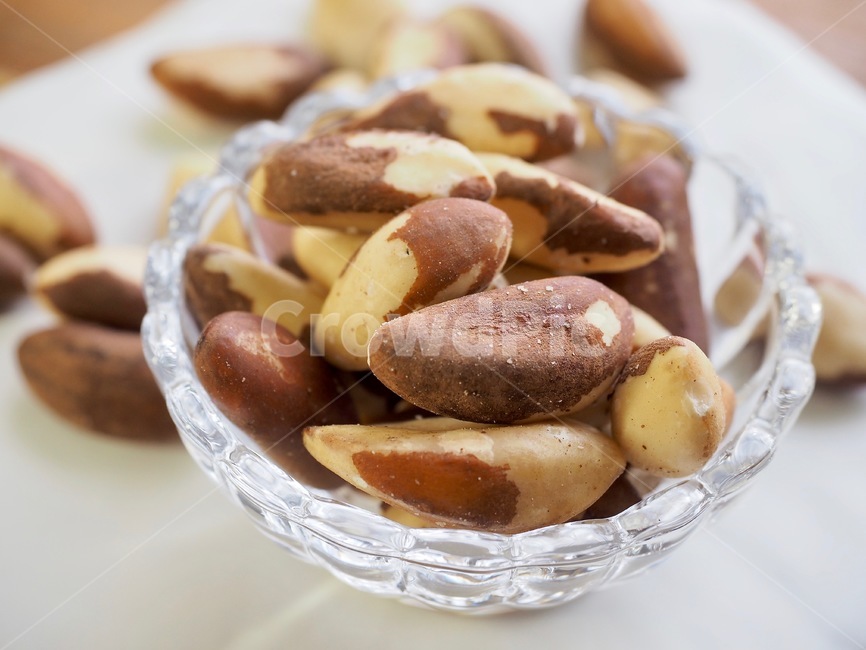 브라질너트,견과류,웰빙,음식,갈색,유기농,brazilnut,nuts,wellbeing,food,brown,organic,식품,nut,너트,콩류,견과류,beans,pulse,nuts,dry fruits
