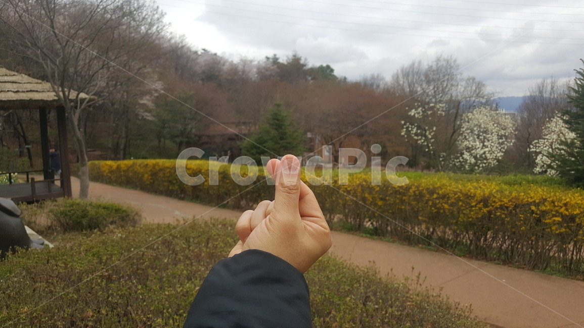 손,손하트,하트,자연,풍경,봄,사랑,고백,hand,humanhand,love,의자,생각,평안,명상,나무,침묵,용서,휴식,안식,쉼,feeling,감성,힐링,nature,season,배경,가평,koreanlandscape,사람,인물,인간,human,person,신체일부,몸,body,손,제스처,표시,손짓,표현,gesture,hand,sign,expression
