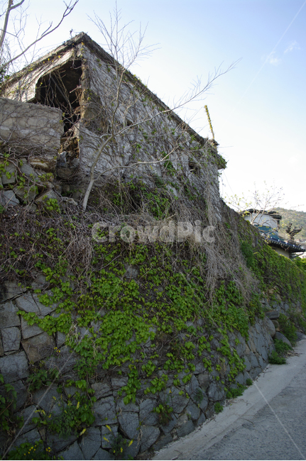 집,길,넝쿨,식물,하늘,건축물,건물외관,exterior,building,structure,architecture,construction