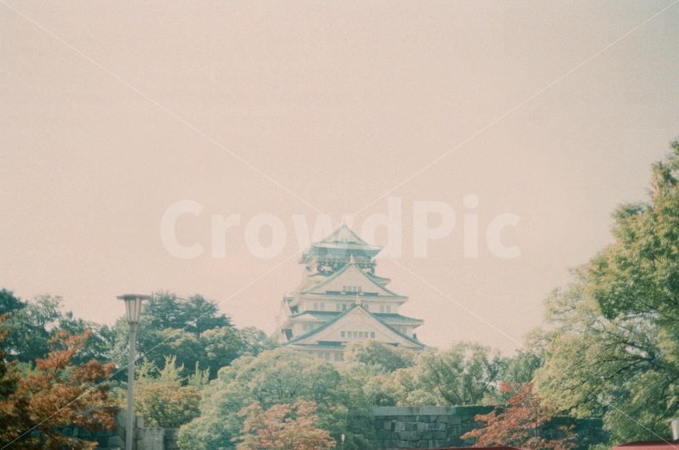 오사카성,오사카,전통,일본,풍경,나무,하늘,가을,10월,감성사진,필름사진,osakacastle,osaka,japan,tradition,landscape,tree,sky,fall,sensitive,film,랜드마크,landmark,tourist attraction,해외,외국,세계,foreign,oversea,world,세계랜드마크,해외랜드마크,외국랜드마크,world landmark,world tourist attraction,감성,sensible,feeling,nature,자연,outdoors,옥외