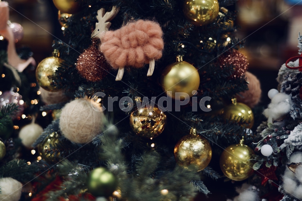 트리,겨울,winter,snow,mood,장식,나무,tree,겨울,계절,winter,season,기념일,축하,anniversary,congratulation,celebrate,celebration,메리크리스마스,성탄절,merry christmas