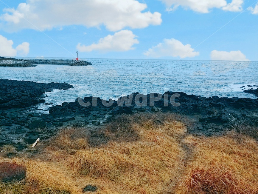 제주도,바다,물,자연,풍경,water,돌,해안가,바닷가,파도