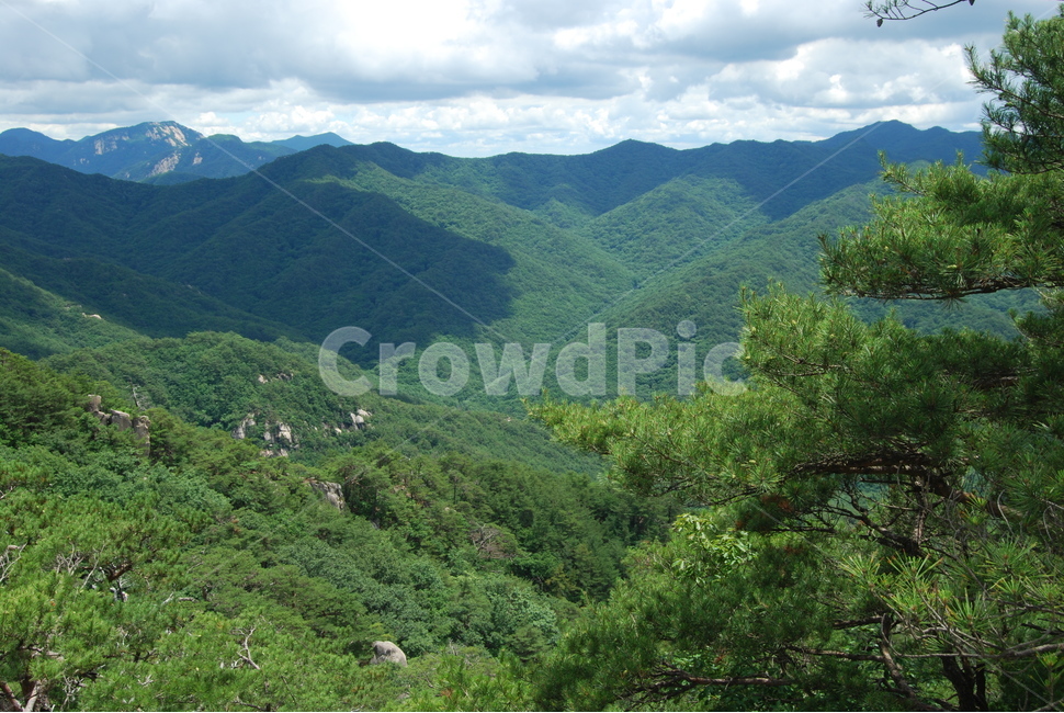 산,나무,돌,자연,하늘,구름,자연,풍경,nature,landscape,outdoors,옥외,hill,언덕