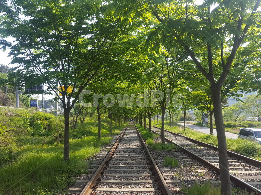 기찻길, railway, 철도, rail, 레일, 사진,이미지,일러스트,캘리그라피 - Njinyeol63작가