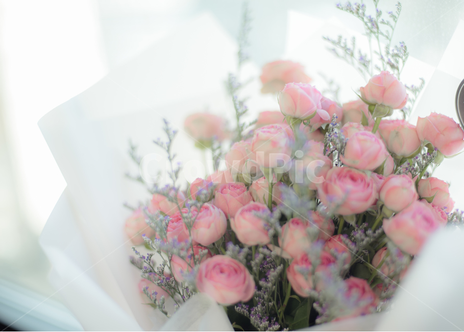 꽃,장미,장미꽃,flower,꽃다발,꽃,flower,기념일,축하,anniversary,congratulation,celebrate,celebration,감성,sensible,feeling