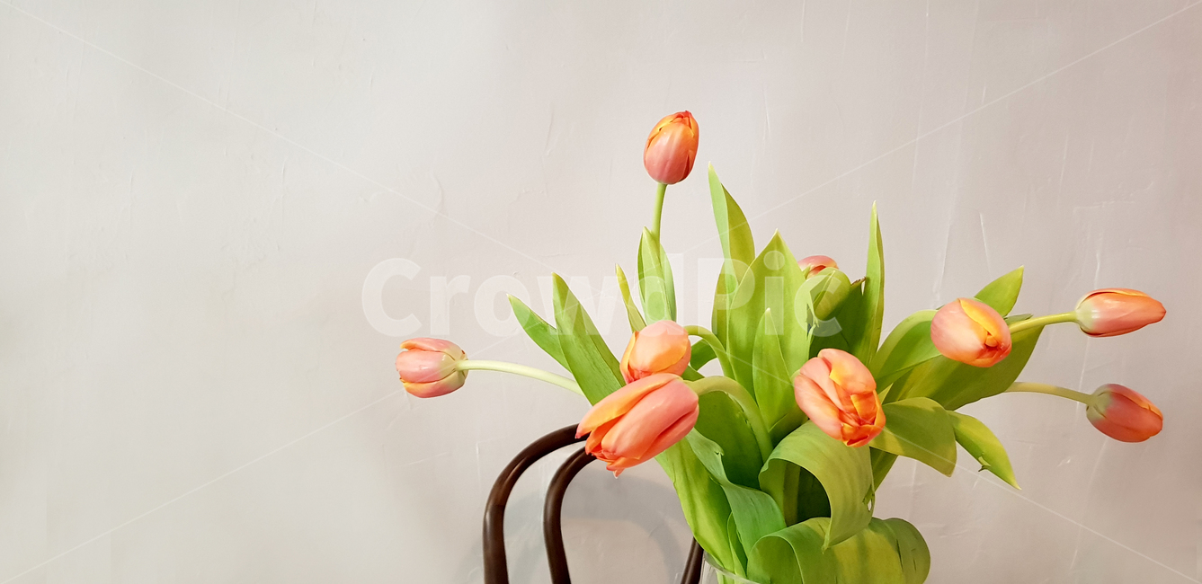 튤립,꽃이미지,꽃,flower,주황색튤립
