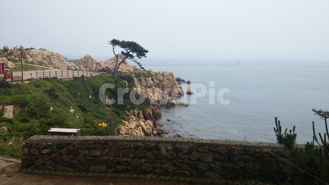 울산,대왕암,바다,자연,울산바다,대왕암가는길,자연,풍경,nature,landscape,한국자연풍경,한국자연경관,korea nature landscape,promontory,곶,outdoors,옥외,cliff,낭떠러지