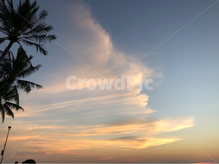구름,야자수,일몰,하늘,sunset,sky,자연,아름다움