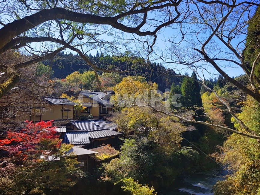 일본,아소,쿠마모토,구마모토,쿠로카와,쿠로가와,구로가와,구로카와,온천,쿠로카와온천,마을,온천마을,시골,한적,고즈넉,조용,산,자연,하늘,가을,단풍,일본가옥,식물,나무,옥외,japan,aso,kumamoto,kurokawa,kurogawa,onshen,onsen,hospring,plant,tree,nature,outdoors,rural,autumn,autumncolors,maple,mountain,quiet,clam,sky,bluesky,house,japanhouse