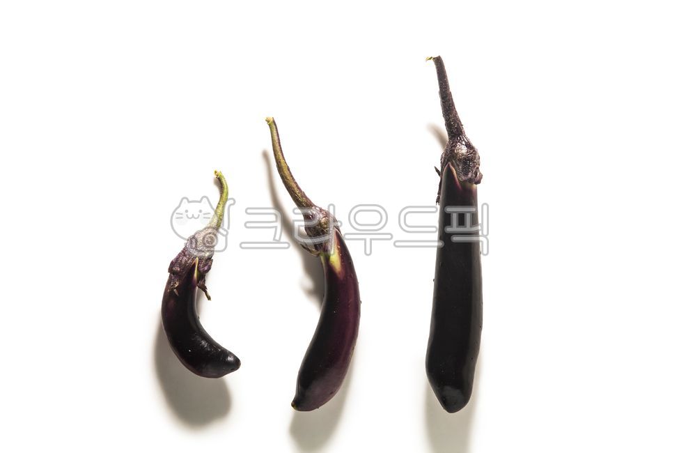 가지, 채소, 야채, eggplant, 보라색야채, 사진,이미지,일러스트,캘리그라피 - geuomai작가