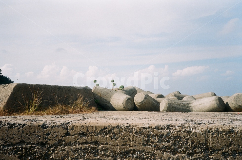 아이노시마섬,하늘,방파제,바다,고양이섬,야자수,자연,풍경,nature,landscape,ground,바닥