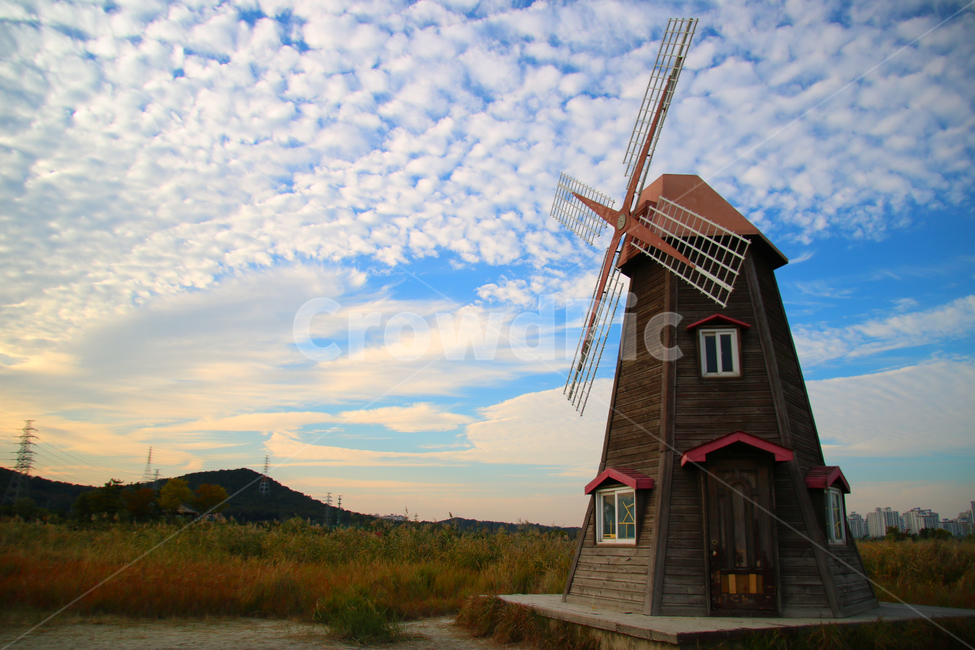 억새,감성,가을,풍경,풍차,자연,풍경,nature,landscape,건축물,건물외관,exterior,building,structure,architecture,construction,machine,기계,engine,엔진,motor,모터