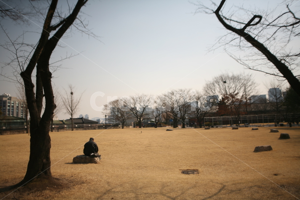 풍경,가을,하늘,나무,구름,들판,잔디,종로,야외,outdoor