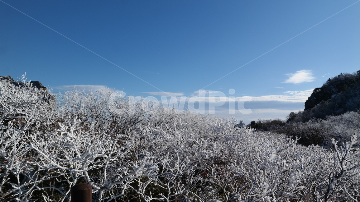 덕유산,눈꽃산,눈꽃,눈,snow,snowonthebranches,mountain,풍경,겨울,자연,winter,산,겨울산,landscape,nature,겨울,계절,winter,season,자연,풍경,nature,landscape,한국자연풍경,한국자연경관,korea nature landscape,식물,plants,나무,trees,wood,outdoors,옥외,ice,빙,frost,서리